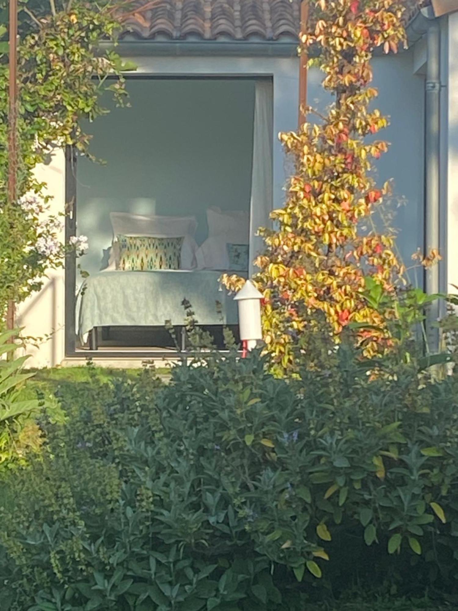Mornac-sur-SeudreLe 5 Bis住宿加早餐旅馆 外观 照片